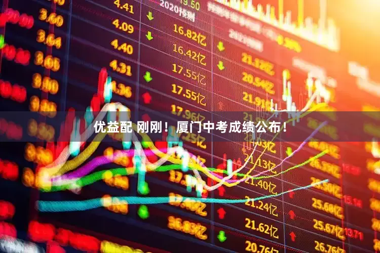 优益配 刚刚！厦门中考成绩公布！