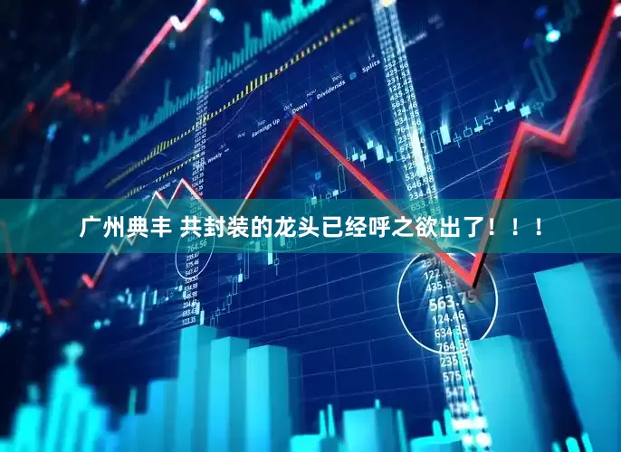 广州典丰 共封装的龙头已经呼之欲出了！！！