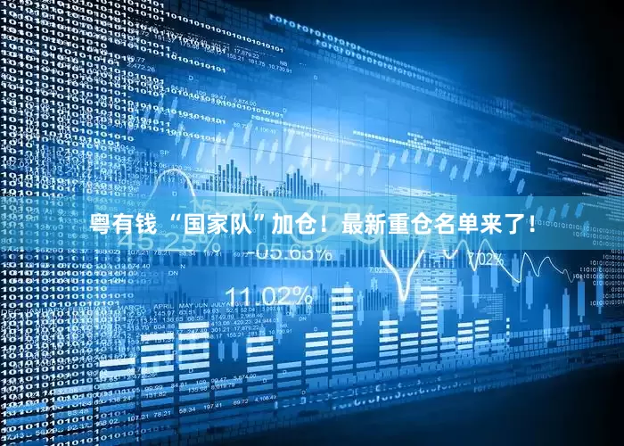 粤有钱 “国家队”加仓！最新重仓名单来了！