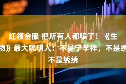 红领金服 把所有人都骗了！《生万物》最大聪明人：不是宁学祥，不是绣绣