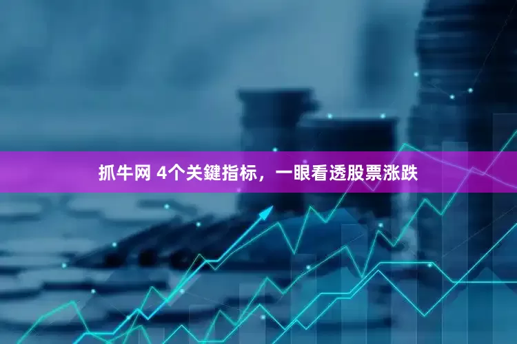 抓牛网 4个关鍵指标，一眼看透股票涨跌