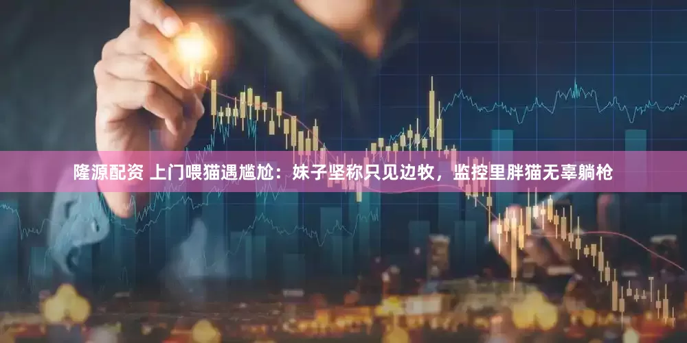 隆源配资 上门喂猫遇尴尬：妹子坚称只见边牧，监控里胖猫无辜躺枪