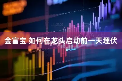 金富宝 如何在龙头启动前一天埋伏