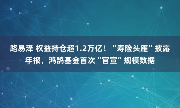 路易泽 权益持仓超1.2万亿!“寿险头雁”披露年报,鸿鹄基金首次“官宣”规模数据
